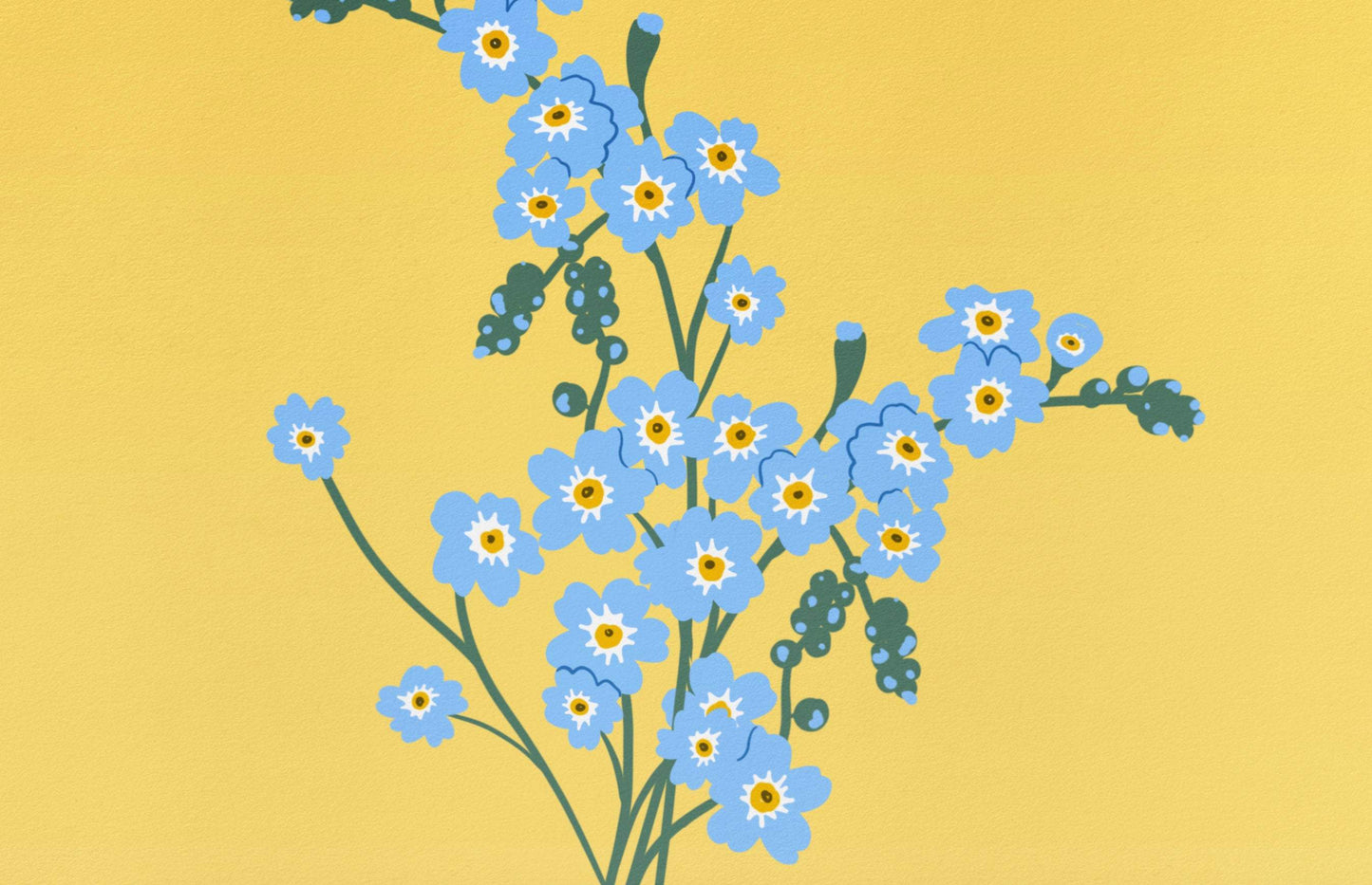 Forget Me Not Illustration Print