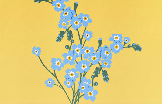 Forget Me Not Illustration Print