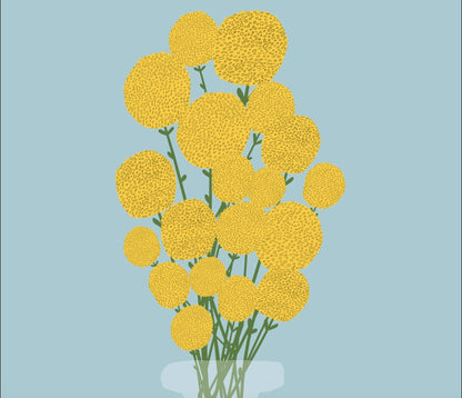 Billy Buttons Craspedia Illustration Print