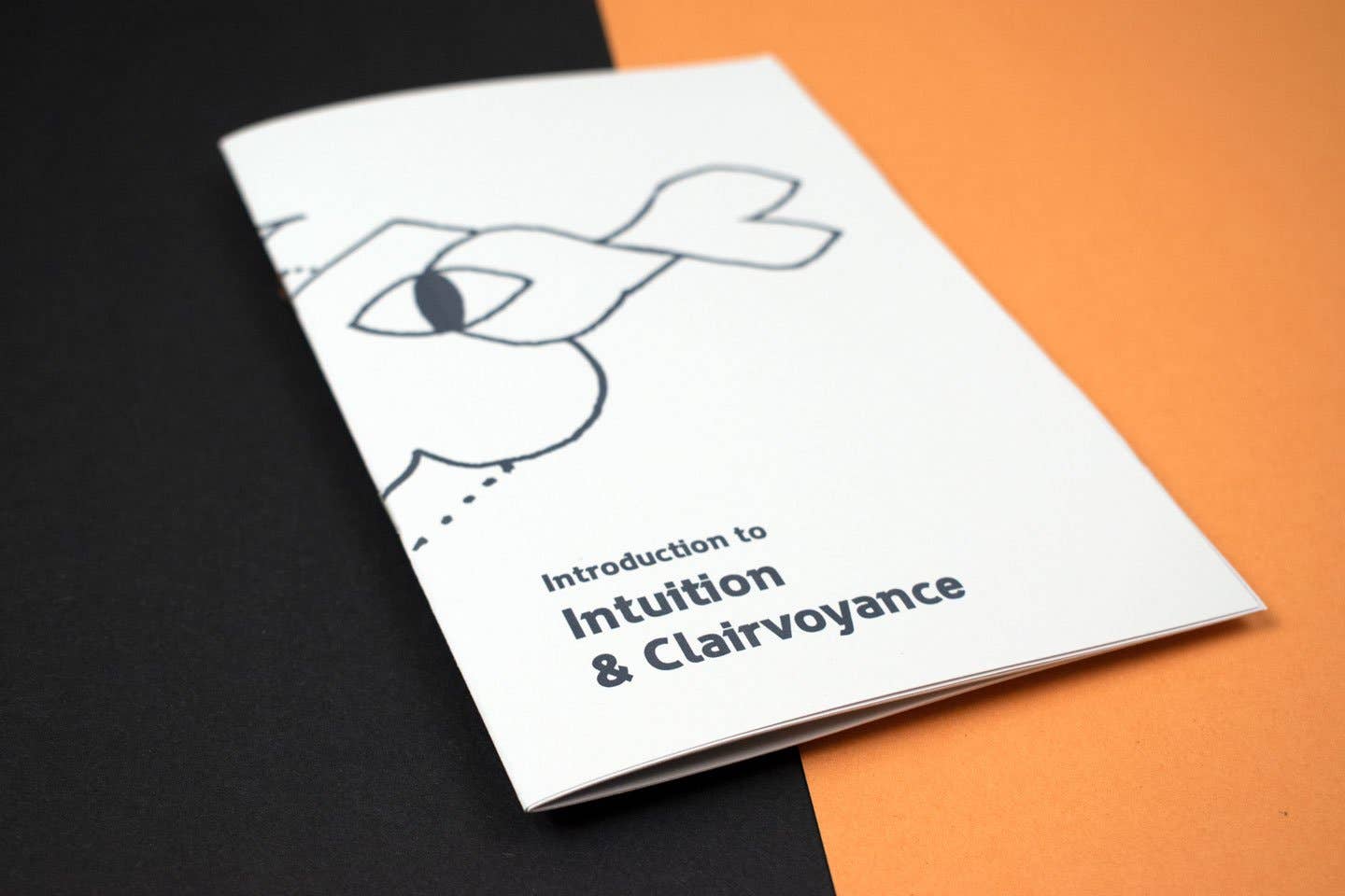 Microcosm Publishing & Distribution - Introduction to Intuition & Clairvoyance (Zine)