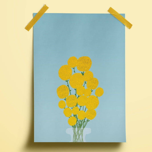 Billy Buttons Craspedia Illustration Print