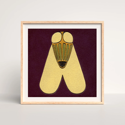 Cosmic Fly, 8x8 Inch Giclée Fine Art Print