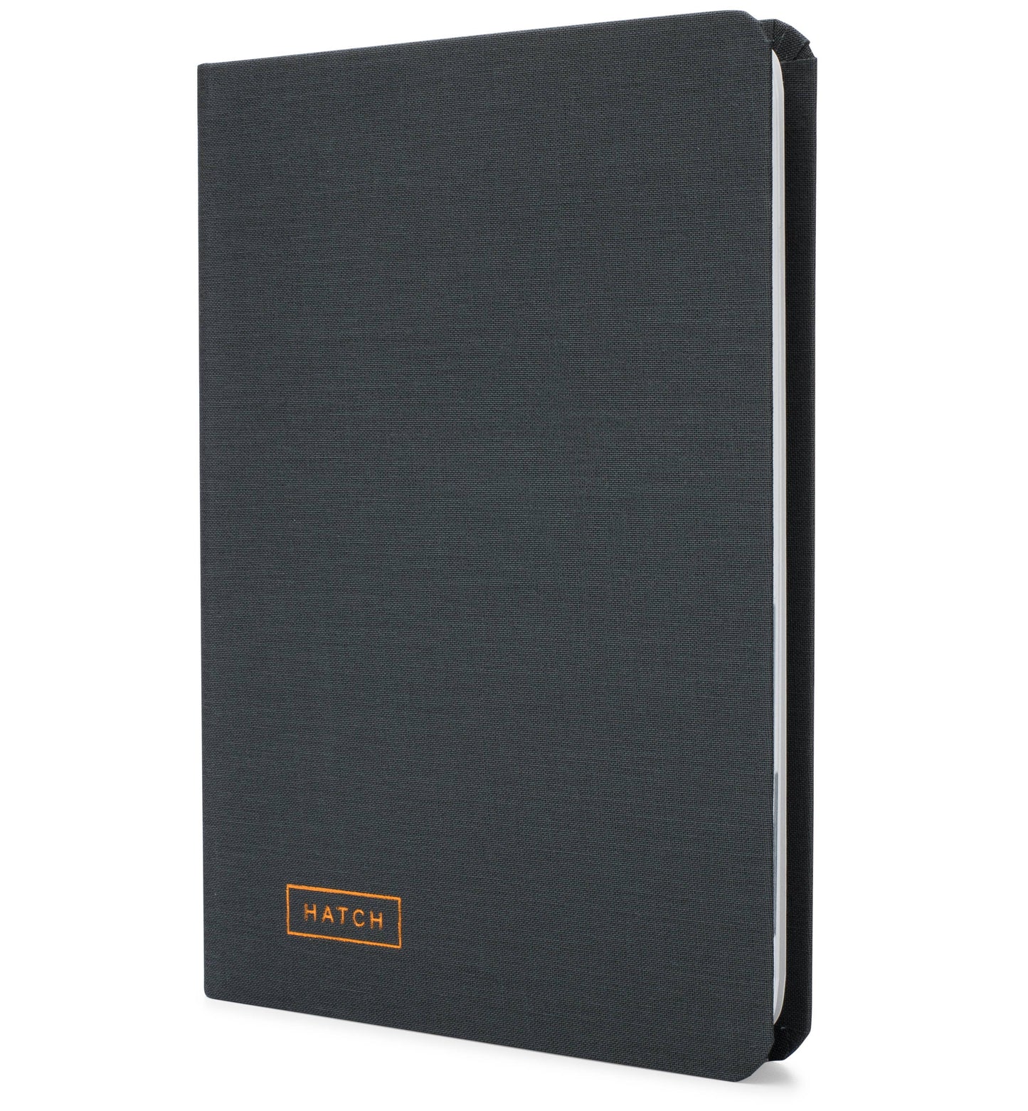 Two Tumbleweeds - Hatch Notebook