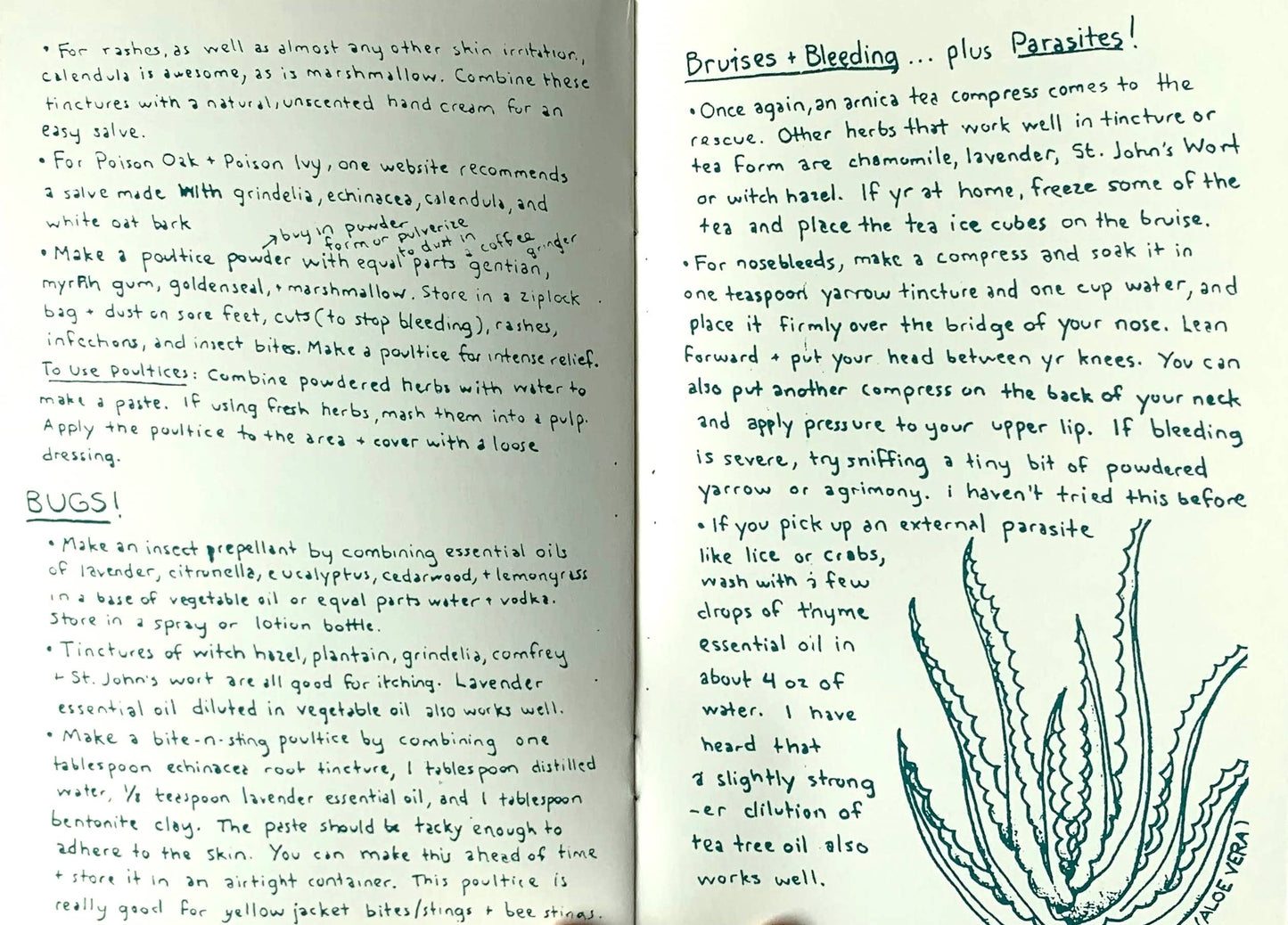 Herbal First Aid: Assembling a Natural First Aid Kit (Zine)