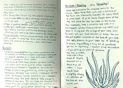 Herbal First Aid: Assembling a Natural First Aid Kit (Zine)
