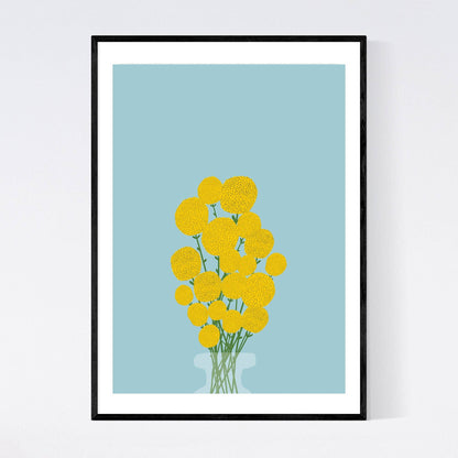 Billy Buttons Craspedia Illustration Print