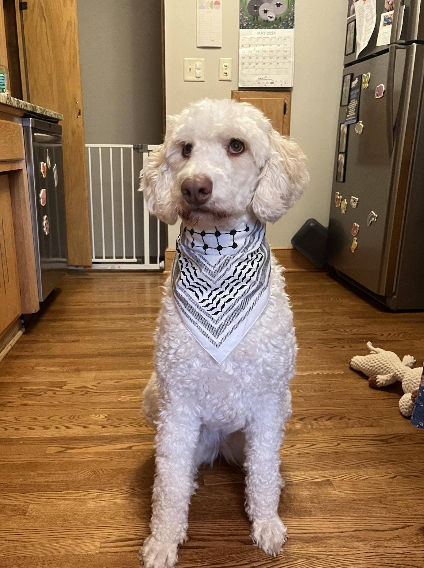 100% Cotton Kuffiyah Bandana Palestinian Kuffiyeh design